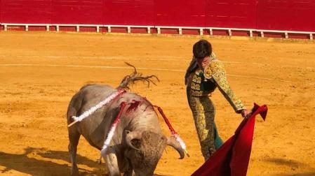 Naturales templados de Javier Orozco sobre una caracola