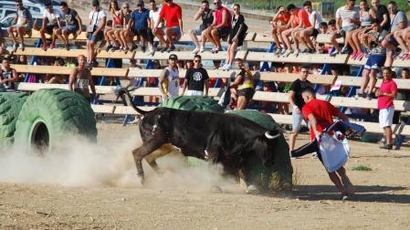 Foto genérica de la suelta de una vaquilla en El Pinós