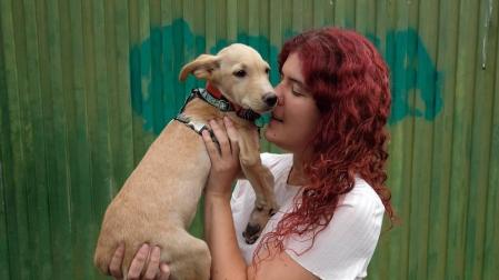 Los abandonos de perros y gatos se producen en Navarra durante todo el año, no solo en verano. Desde enero, a la Fundación Protectora de Animales de Pamplona han llegado 45 perros y 35 gatos. Estos son algunos de sus protagonistas.