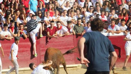 Carrera larga y sin heridos en el segundo encierro de Estella