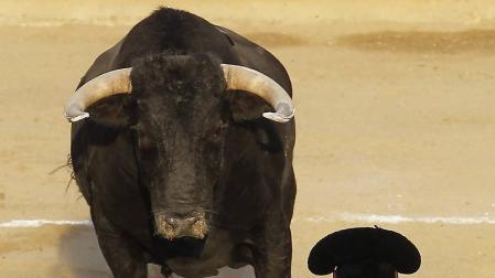 La bravura y Esaú triunfan en el coso estellés