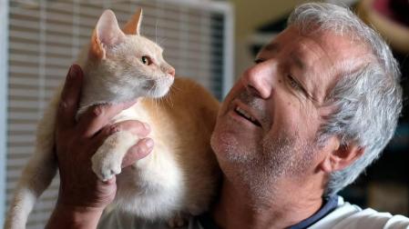 Fotos de algunos de los gatos que actualmente se encuentran en la Fundación Protectora de Animales de Pamplona, principales víctimas de la realidad del abandono y del maltrato, que generalmente se agudiza durante el mes de julio.