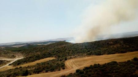 El incendio de un tractor en Artajona propaga las llamas hacia el monte