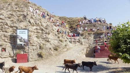 Todas las fotos del encierro del Estrecho de Arguedas 2019 en Diario de Navarra