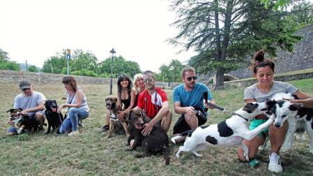 SOS desde el recinto canino de lo viejo