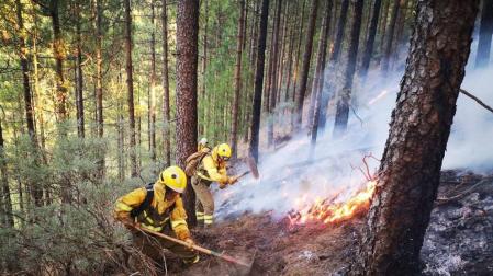 Efectivos de la BRIF de Puntagorda intervienen en las labores de extinción del incendio de Gran Canaria