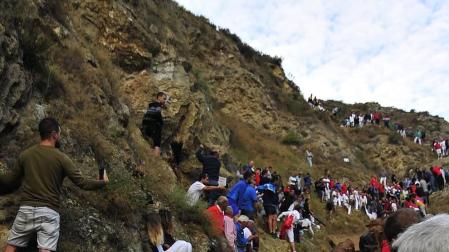 Todas las fotos del encierro del día 11 de agosto de del Pilón de Falces, una carrera que duró dos minutos y 15 segundos.