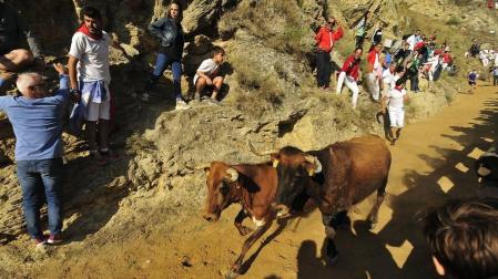 Este lunes Falces ha acogido el segundo encierro del Pilón de las fiestas de este 2019.