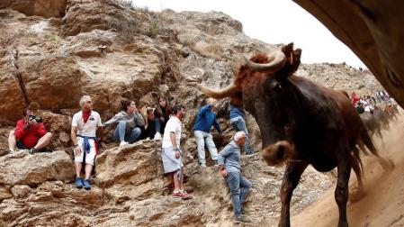 Cinco heridos leves y una vaca despistada, en el tercer Pilón de fiestas de Falces