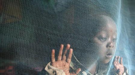 Ghana, Kenia y Malaui probarán en 2018 la primera vacuna contra la malaria