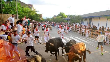 Tres heridos por contusiones en un primer encierro rápido, en fiestas de Tafalla