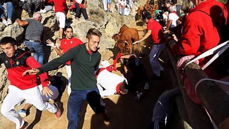 El sexto encierro del Pilón de Falces, rápido y sin precisar atenciones