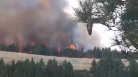 La isla de Gran Canaria vuelve a luchar contra el fuego