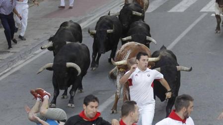 Todas las fotos de fiestas de Tafalla. 19 de agosto de 2019