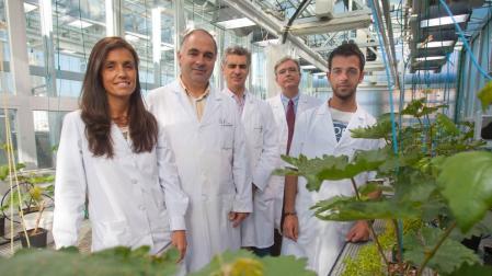 Científicos de la UN desarrollan una tecnología para fabricar nuevos fertilizantes