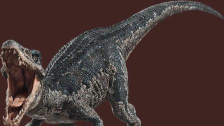 Identificado un nuevo dinosaurio en Castellón