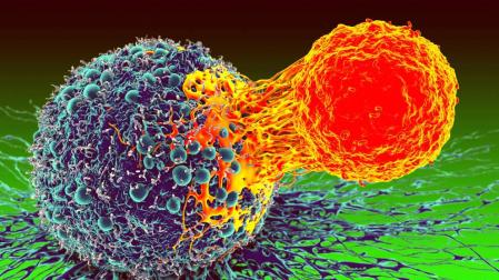 La nueva esperanza contra el cáncer