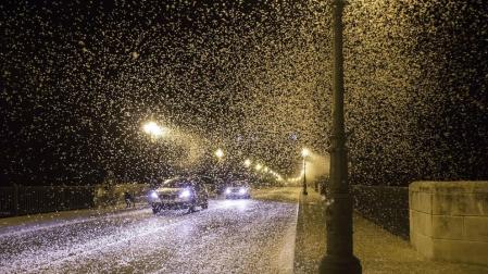 Ecologistas piden "combinar" soluciones en Tudela para preservar las Efímeras