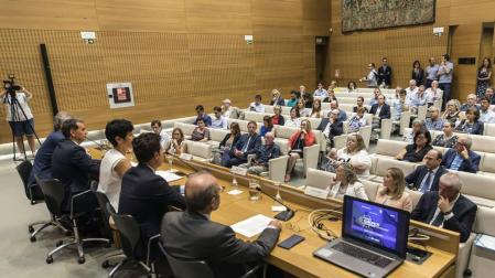 Balz ve factible la unión bancaria de la UE en 5 años