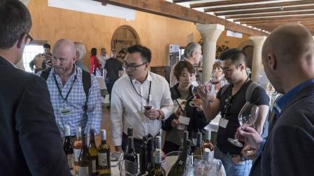 Navarra tiene 26 bodegas que hacen vino ecológico de uva de 1.200 ha de viña