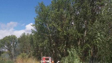 Controlado un incendio junto al río Ebro entre Lodosa y Sartaguda