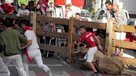 Todas las fotos del encierro y de la comparsa de gigantes y cabezudos de fiestas de Peralta 2019
