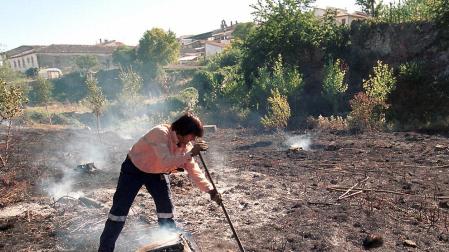 El Gobierno autorizará con carácter excepcional la quema de rastrojeras