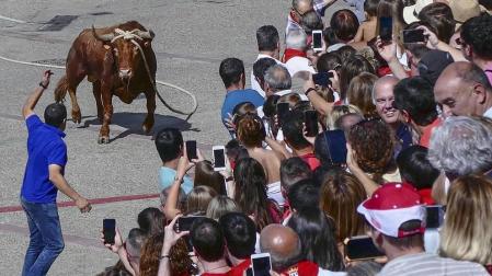 Fotos de las fiestas de Lodosa del día de 13 septiembre.