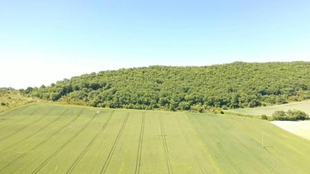 Los drones del campo