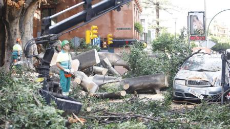 El temporal activa la alerta amarilla este domingo en 16 provincias