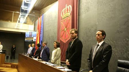 El Parlamento foral aprueba un suplemento de crédito de 1,8 millones para el SNE