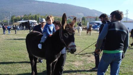 La feria de ganado equino de San Miguel vuelve el jueves al polígono de Agustinos
