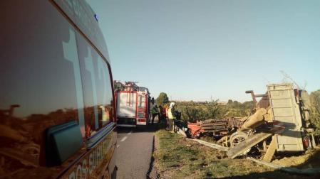 Vuelca un camión con troncos en la NA-3010