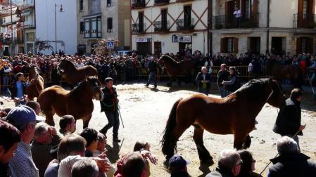 Las ferias de Alsasua llegarán con el anticipo de las jornadas de setas