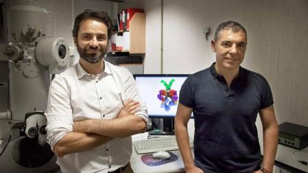 Un navarro lidera una novedosa investigación de la tuberculosis