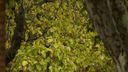Fin de semana con temperaturas altas y viento sur