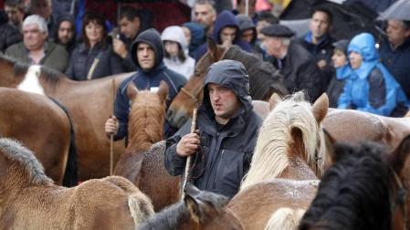Todas las fotos de las ferias de Alsasua de este domingo 20 de octubre