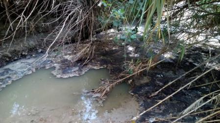 Corella denuncia vertidos al Alhama de aguas residuales de la depuradora
