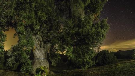 XII Concurso fotográfico Conocer Navarra