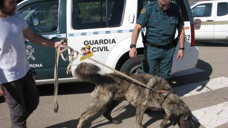 Un vecino de Arguedas, investigado por un presunto delito de maltrato animal