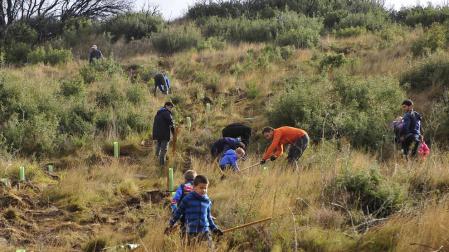 Los vecinos de Artajona trabajan juntos para repoblar sus montes