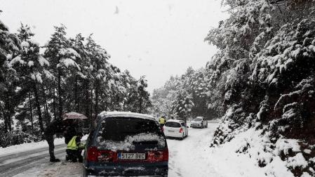 La nieve ha vuelto a Navarra en las últimas horas. La cota subirá en las próximas horas hasta los 1.200/1.000 metros.