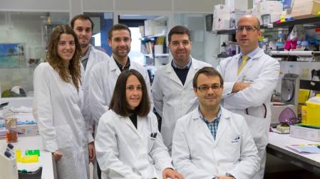 La inhibición de dos moléculas permite ralentizar el cáncer de páncreas