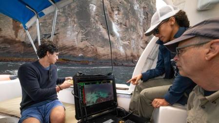 El misterioso bosque de macro-algas en Galápagos que intriga a los expertos