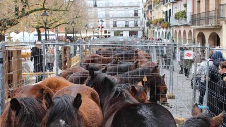 La decimosegunda edición del certamen de ganado caballar cerró el programa de San Andrés de este año