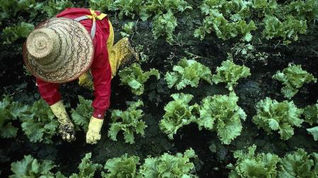 Mujeres rurales: "Vivir y trabajar en el medio rural no puede ser cosa de heroínas"