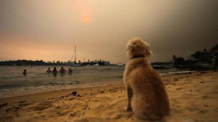 Casi 3.000 bomberos combaten más de un centenar de incendios en Australia