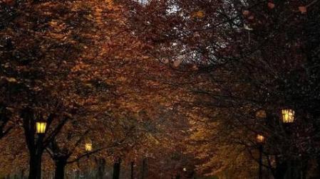 Hay momentos indescriptibles. Cuando llegan, lo mejor es permanecer en silencio. Y sentir. Tal y como ocurre una mañana, a las doce, en el corazón de Pamplona.