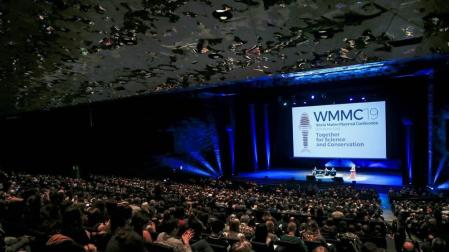 Los científicos resaltan que "ahora hay tecnología" para salvar mamíferos marinos