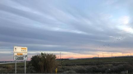 Sale a exposición pública un nuevo parque eólico en Buñuel